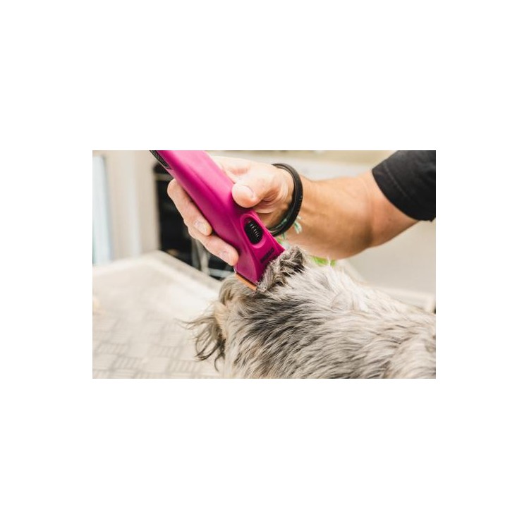 WAHL 1876-0480 Creativa