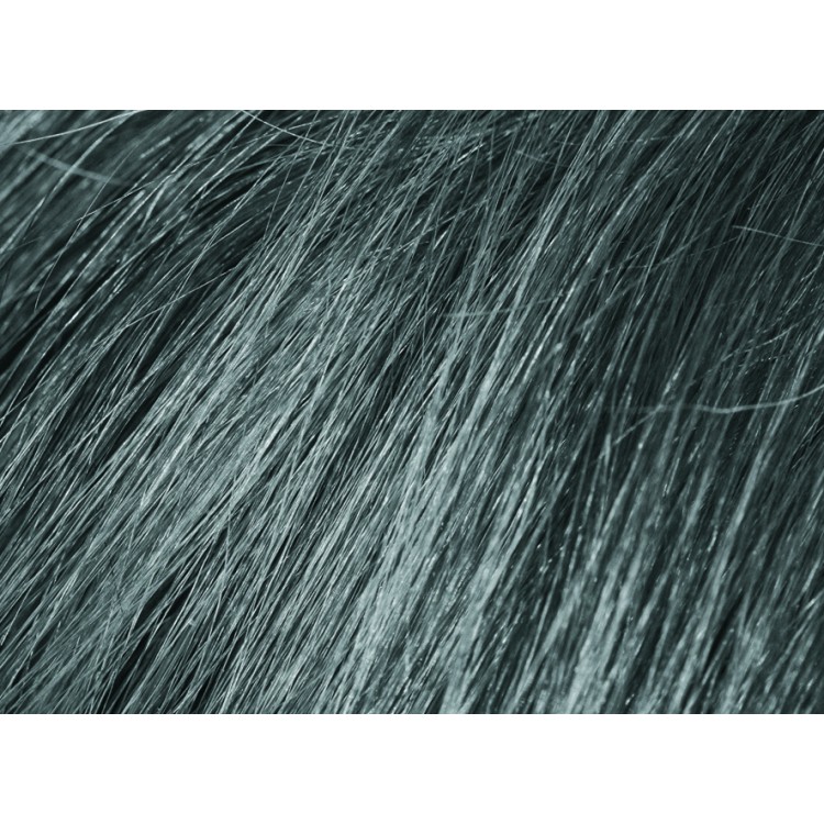 Barvící šampon COLOR SHAMPOO Beardburys - na vlasy a vousy - šedivý