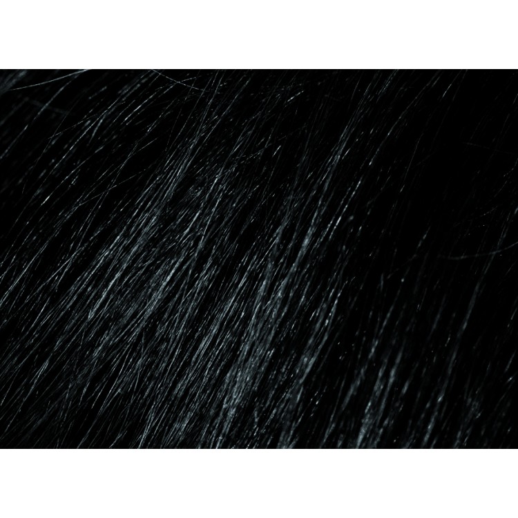 Beardburys barvící šampon na vlasy a vousy-černý