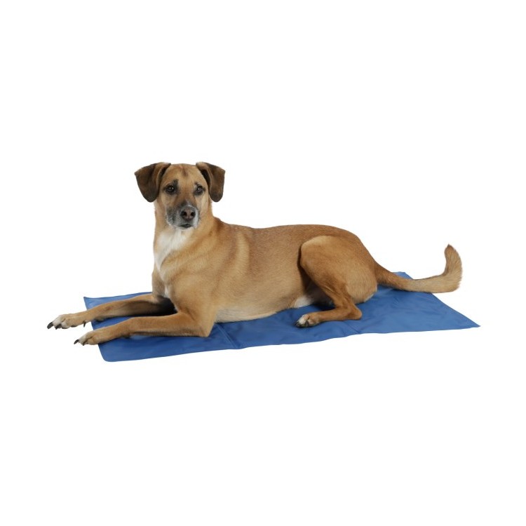 Chladící podložka AK 80841