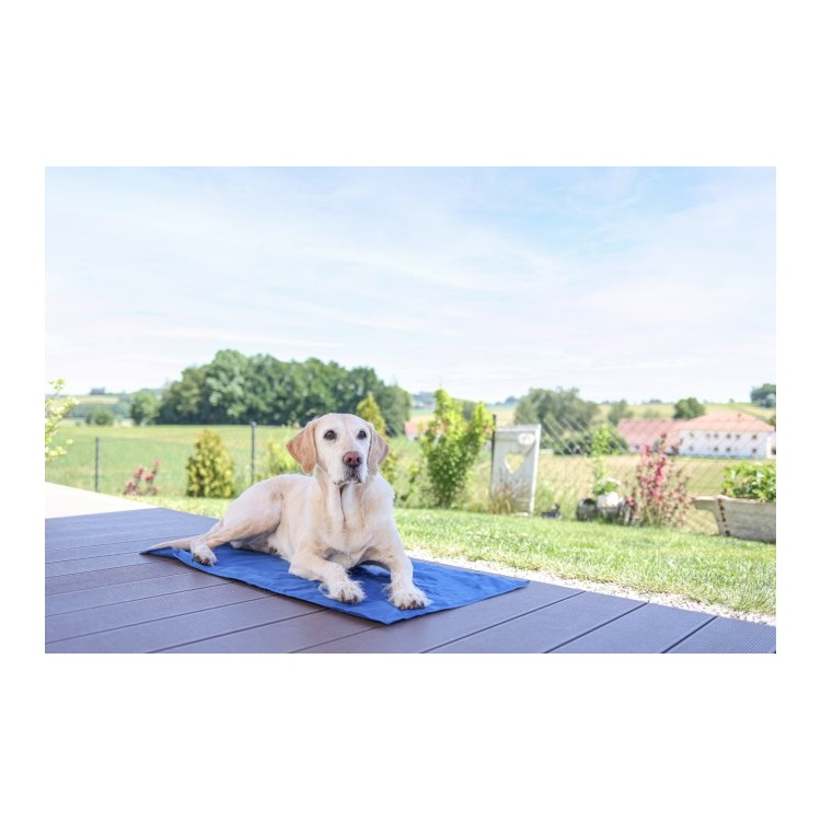 Chladící podložka AK 80841