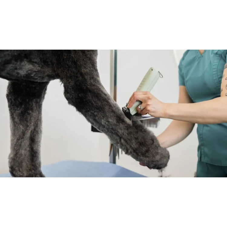 WAHL 3028873 KMC+ Cordless