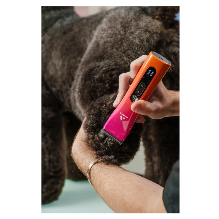 ANDIS Proclip® SunSet 5-in-1