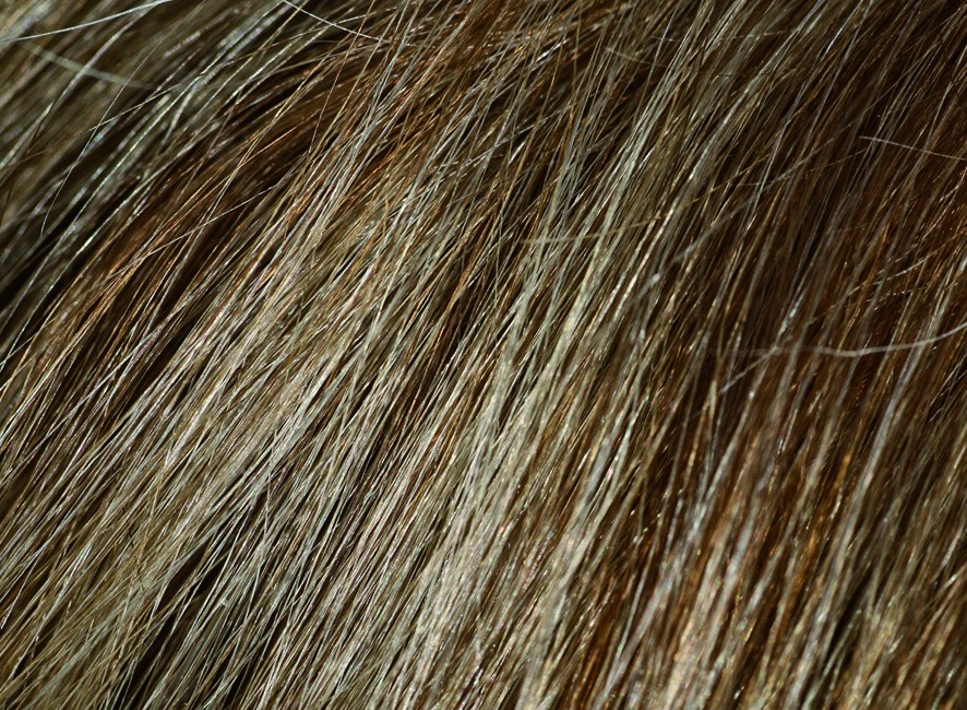 CAROBELS Cosmetics / BEARDBURYS Barvící šampon BEARDBURYS Color Shampoo 5N - na vlasy a vousy - světle hnědý